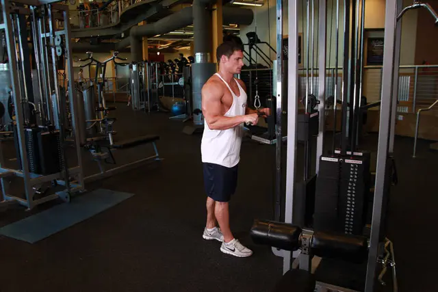 Exercițiul Extensii la triceps, la cablu (pushdown) — demonstrație